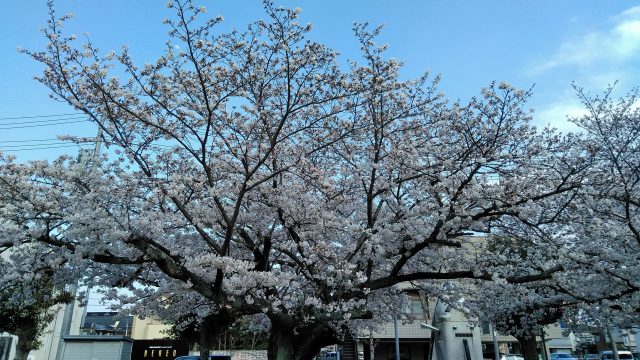 はじめまして！