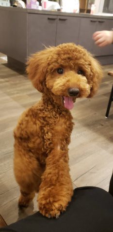 家の家族をご紹介(￣▽￣)